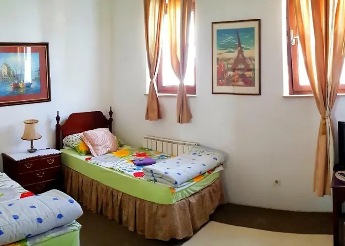 Hostel Pansion Lion