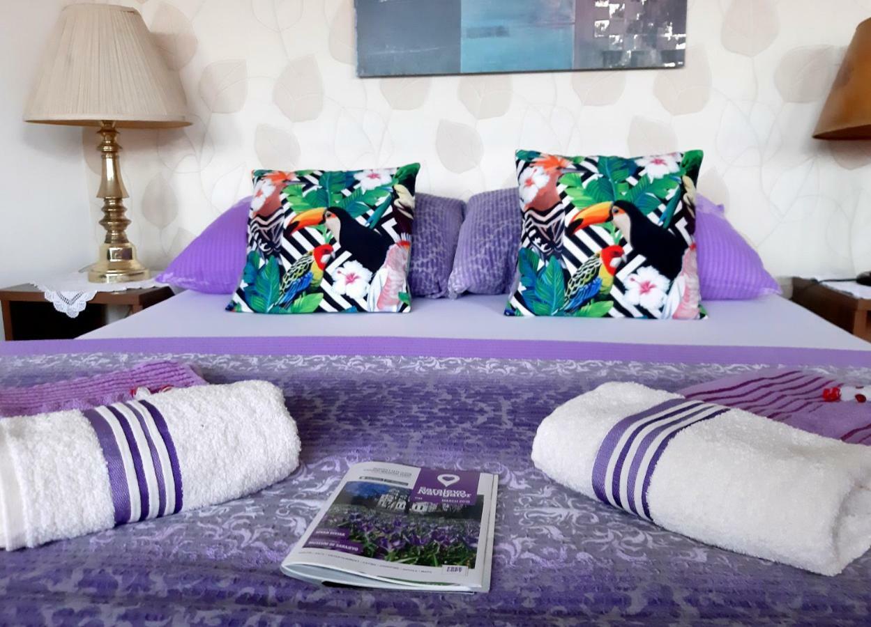 Pansion Lion Auberge de jeunesse *