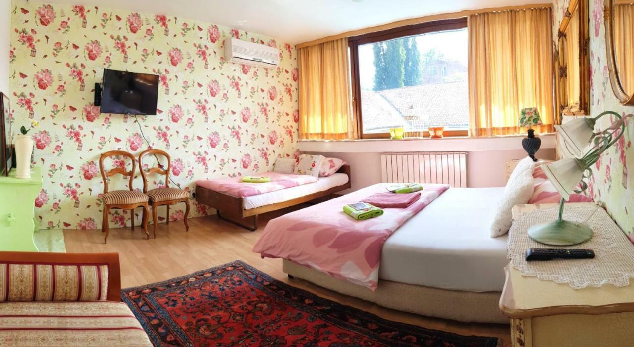 Auberge de jeunesse Pansion Lion *