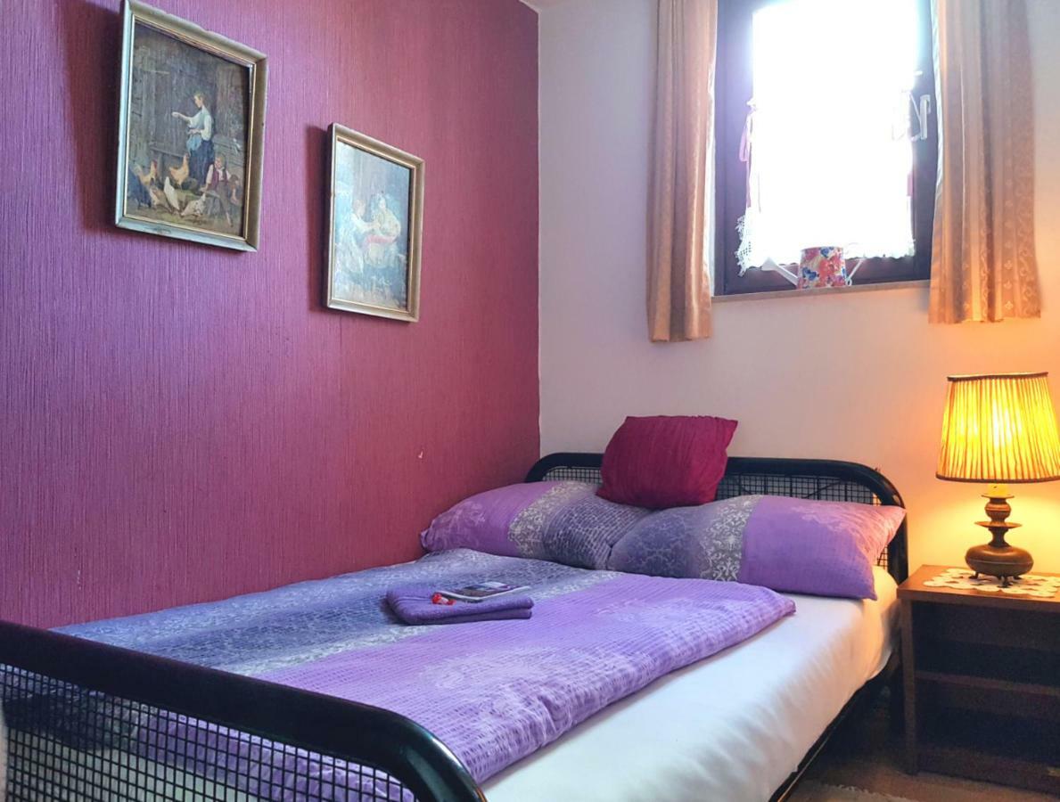 Auberge de jeunesse Pansion Lion *