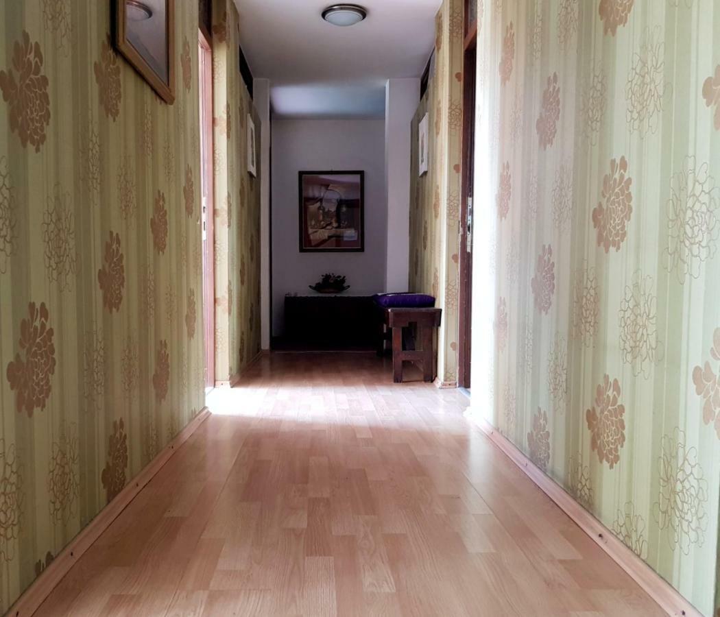 Pansion Lion Auberge de jeunesse *