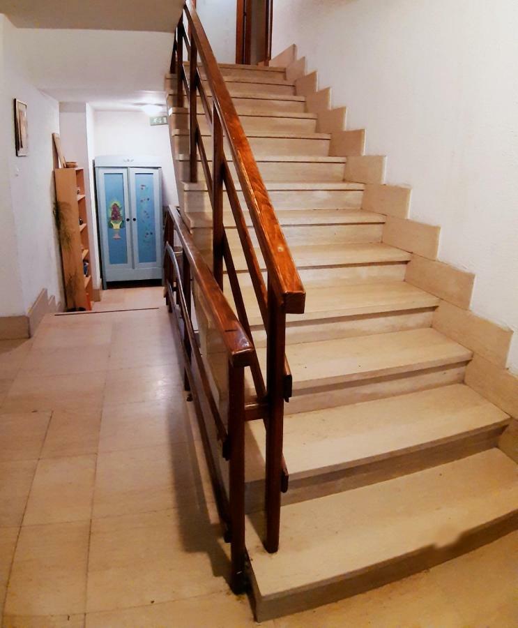 Pansion Lion Auberge de jeunesse *